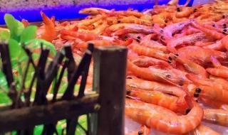 深圳自助餐团购