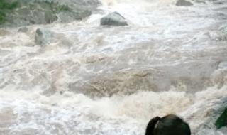 株洲神龙谷 株洲神龙谷