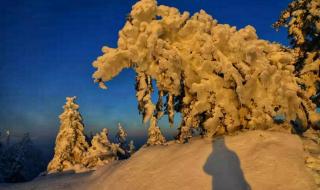 冰雪的天堂原唱 广场舞冰雪天堂背面